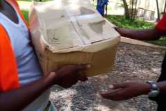 d03d17bb-7f34-41ad-9a00-5c4f70067634