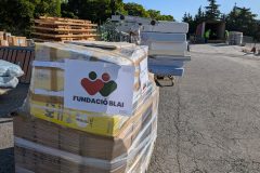 PXL_20260613_065204456-Grande