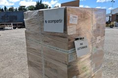 PXL_20260703_074824713-Grande