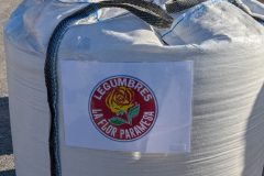 PXL_20261028_082016029-Grande