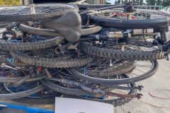 IMG_20251105_090945-Grande