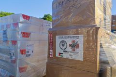 IMG_20240716_084501