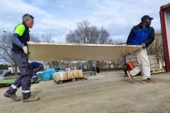 IMG_20250222_104538
