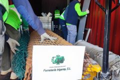 IMG_20260327_093050-Grande