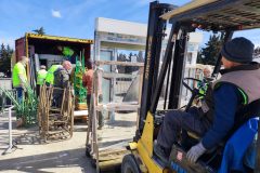 IMG_20260327_115658-Grande