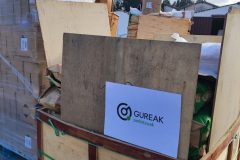 IMG_20241116_095747