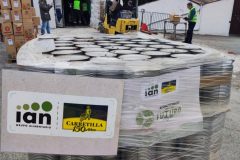 IMG_20260330_092601-Grande