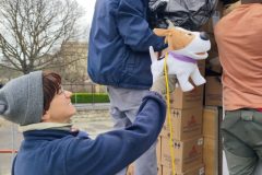 IMG_20260330_112129-Grande