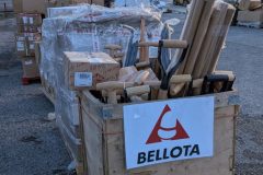 PXL_20261009_071710534-Grande