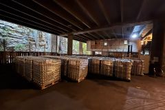 1a6d08cc-e404-4daa-809f-b76bf7398095