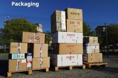 pack-2