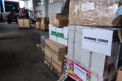 IMG_20260314_084744-Grande