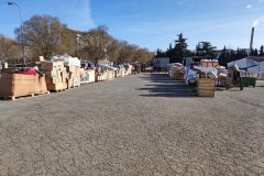 IMG_20230325_090249