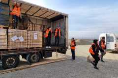 siria-4