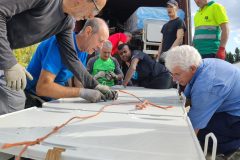 IMG_20230916_110855