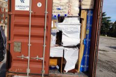 IMG_20240113_140245