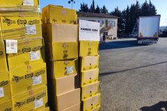 IMG_20260318_091554-Grande