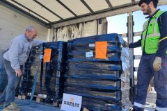 IMG_20260318_093810-Grande