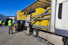 IMG_20260318_101214-Grande