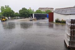 IMG_20240620_112427