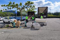 IMG_20250520_173413-Grande