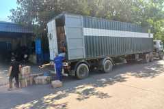 IMG-20231113-WA0006