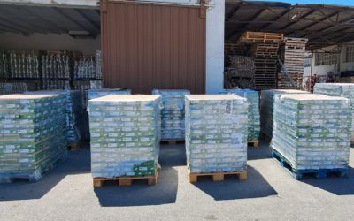 DONACIÓN DE LOTE DE COMIDA DE IAN INTERAL (4-5-2023)