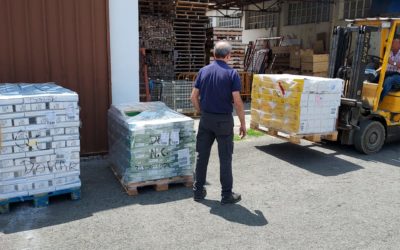 DONACIÓN DE LOTE DE COMIDA DE IAN INTERAL (17-7-2023)
