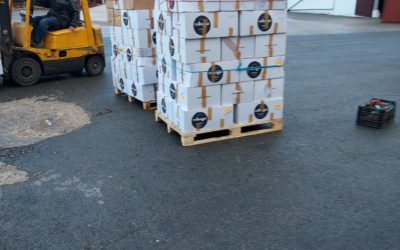 DONACIÓN DEL GRUPO DE APOYO A.C. DE ETXARRI-ARANAZ (13-12-2023)