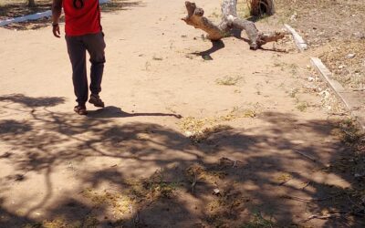 LLEGADA DE CONTENEDOR A MOZAMBIQUE (NAKALA) (24-10-2025)