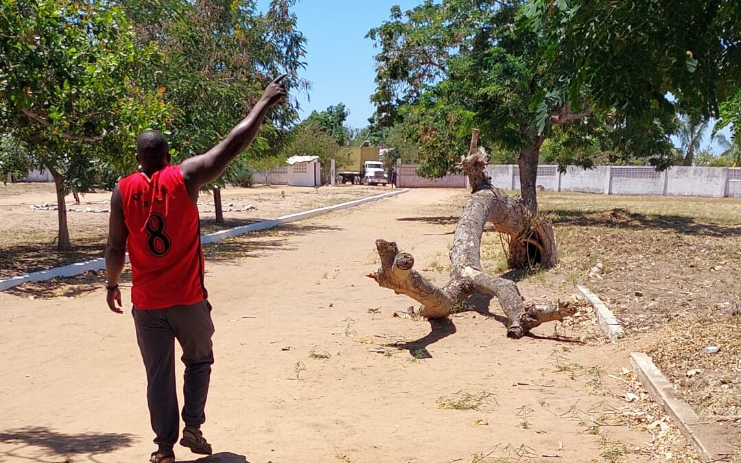 LLEGADA DE CONTENEDOR A MOZAMBIQUE (NAKALA) (24-10-2025)