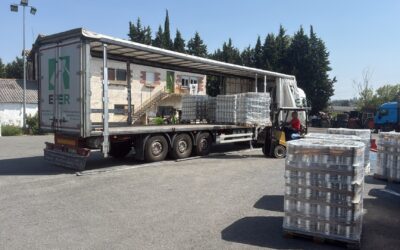 DONACIÓN DE CONSERVAS de CARRETILLA. GRUPO ALIMENTARIO IAN (12-08-2026)