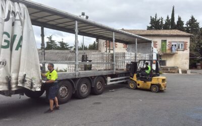 DONACIÓN DE CONSERVAS de CARRETILLA. GRUPO ALIMENTARIO IAN (01-10-2026)